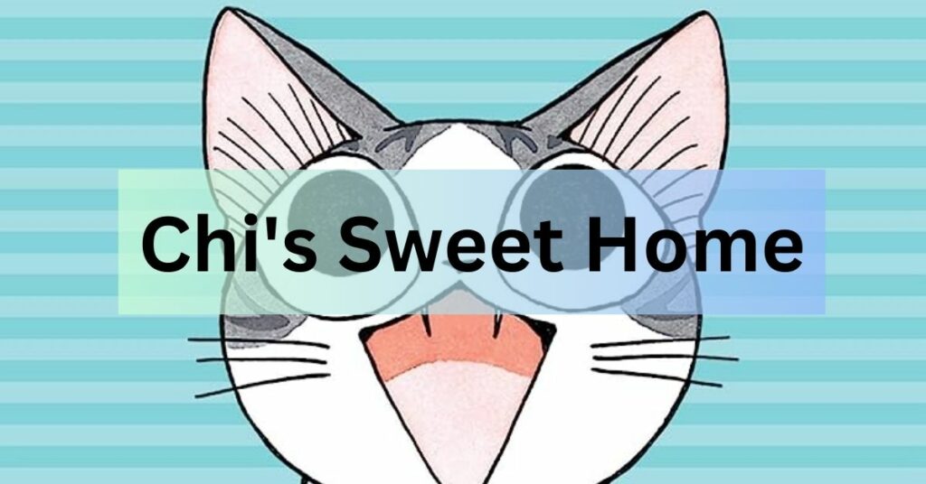 Chi's Sweet Home